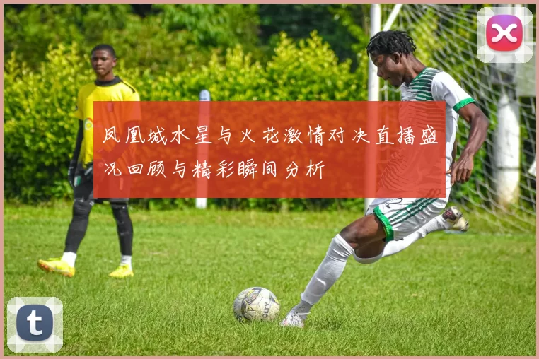 凤凰城水星与火花激情对决直播盛况回顾与精彩瞬间分析